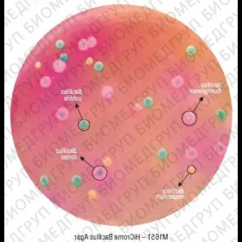 Основа HiCrome селективного агара для обнаружения и идентификации Bacillus 500 г ФСЗ 2009/03705
