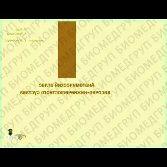 Анатомический атлас височнонижнечелюстного сустава / Й. Иде