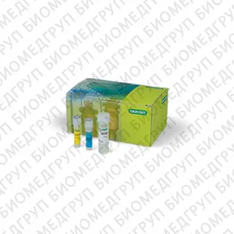 Набор SingleShot Cell Lysis Kit для лизиса клеток для последующей ОТПЦР500 реакций