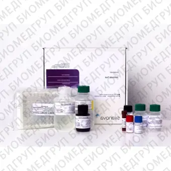 Набор реагентов SVANOVIR BVDVAb Confirmation для обнаружения антител к вирусной диарее КРС методом ИФА стрипованные планшеты2 планшета