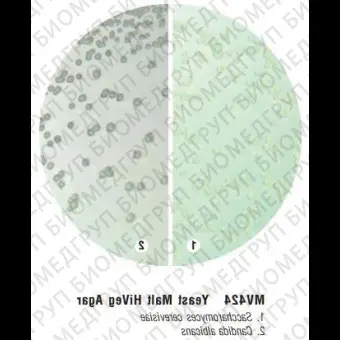 Среда ISP 2 Солодоводрожжевой агар 500г ФСЗ 2009/03706