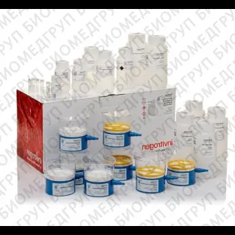 Набор PureLink Expi EndotoxinFree Mega Plasmid Purification Kit, Thermo FS, A31232, 4 выделения