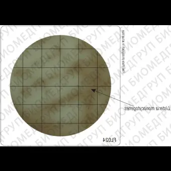 Бакпечатки HiTouch для выделения листерий 50 чашек d 55 мм ФСЗ 2009/03706