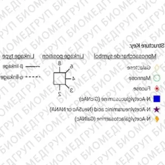 Стандарт Nгликанов AdvanceBio InstantAB G0F / FA2 ранее ProZyme