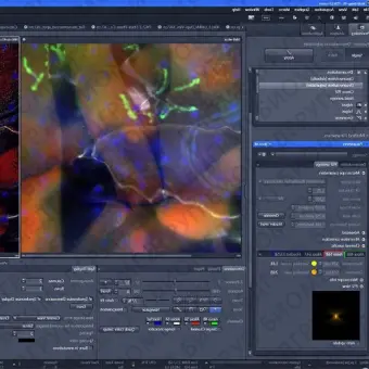 Программное обеспечение для цифровых микроскопов ZEN