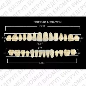 Гарнитуры пластмассовых зубов S2 M30, цвет C2, в боксе, 20 гарнитур