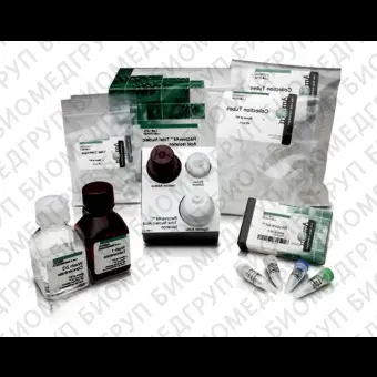 Набор RecoverAll Total Nucleic Acid Isolation Kit for FFPE, Thermo FS, AM1975, 40 выделений