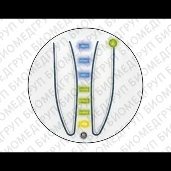 Эндодонтологический блок управления для микродвигателя VDW.GOLDRECIPROC