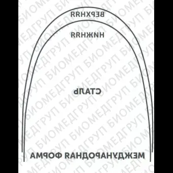 Дуги ортодонтические международная форма Нержавеющая сталь для нижней челюсти SS L .016/.41