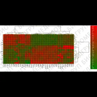 Программное обеспечение для qPCR GenEx