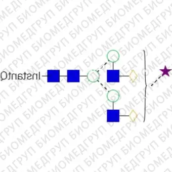 AdvanceBio InstantQ G2S1 2,6/A2G2S61 Nгликан ранее ProZyme. Nгликан моно2,6сиалилированный, галактозилированный двухантенный, меченный InstantQ, для использования в качестве качественного стандарта с системой анализа гликанов GlyQ. Альтер
