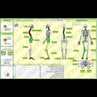 Программное обеспечение для лечения заболеваний стоп PODOSOFT