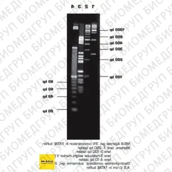 Агароза, низкий EEO, MS8, Molecular Screening, повышенная четкость разделения фрагментов менее 1200 п.н., Импорт, 1931.0500, 500 г
