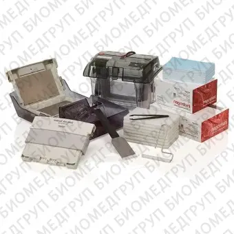 Система мокрого блоттинга SureLock, плоские электроды, с камерой, 2 кассетами и набором мембран PVDF, Thermo FS, STM4014