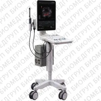 BK Ultrasound Flex Focus 800 УЗ  система