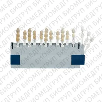VITA Toothguide 3DMASTER  цветовая шкала для подбора оттенков зубов