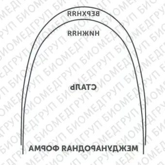 Дуги ортодонтические международная форма нижние INT NiTi TA L .016x/.022/.41x.56