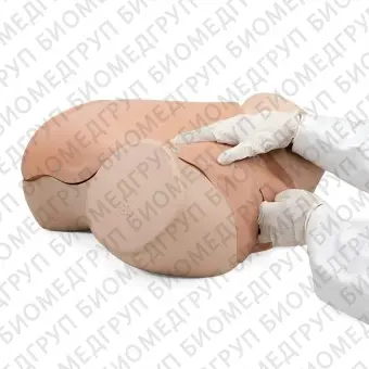 Учебный манекен для оказания гинекологических услуг P91