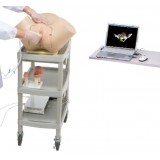 Медицинский симулятор для оказания гинекологических услуг LM-095N
