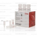 Набор PureLink Genomic Plant DNA Purification Kit
