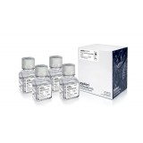 Буфер GeneAmp PCR Gold Buffer & MgCl₂, 10X, Thermo FS, 4379874, 2x75 мл