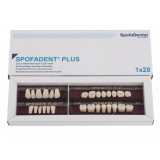 Spofadent Plus (D2) 1/32-0/2-1/74