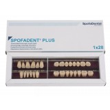 Spofadent Plus (А4) 1/37-0/5-1/62