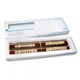 Spofadent Plus (С2) 1/22-0/0-1/72