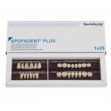 Spofadent Plus (С3) 1/21-0/2-1/60