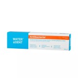 Waterdent зубная паста антибактериальная с солью древнего моря, 100 гр