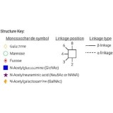 Стандарт N-гликанов AdvanceBio G2F / FA2G2 (ранее PorZyme)