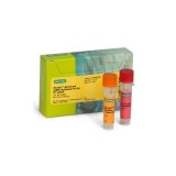 Набор iScript™ Advanced cDNA Synthesis Kit для синтеза кДНК(100 реакций)