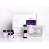 Набор реагентов SVANOVIR® BLV gp51-Ab Screen для обнаружения антител к лейкозу КРС методом ИФА (стрипованные планшеты)(10 планшетов)